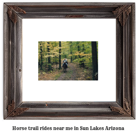 horse trail rides near me in Sun Lakes, Arizona